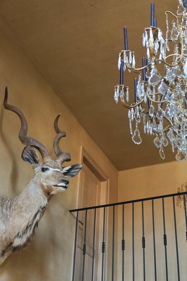 Boutique Hotel De Brakelhoen Kültér fotó